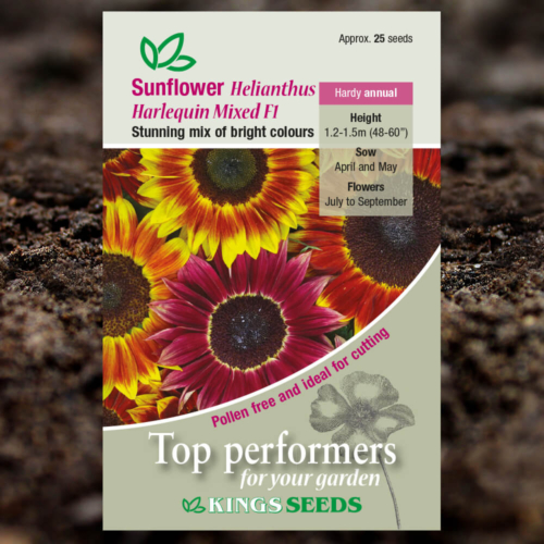 Ornamental Seeds - Sunflower Helianthus Harlequin Mixed F1