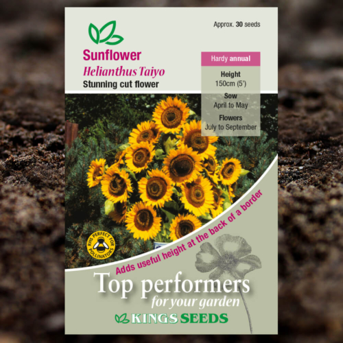 Ornamental Seeds - Sunflower Helianthus Taiyo