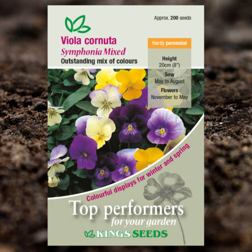 Ornamental Seeds - Viola Cornuta Symphonia Mixed