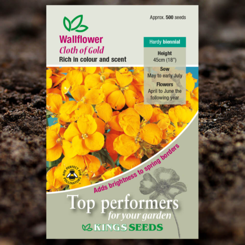 Ornamental Seeds - Wallflower Cloth Of Gold