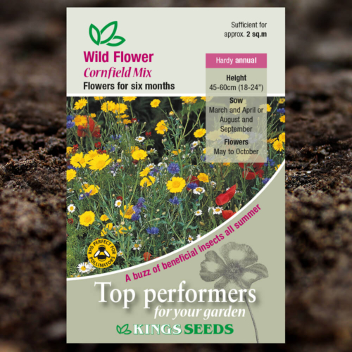 Wild Flower Seeds - Cornfield Mix