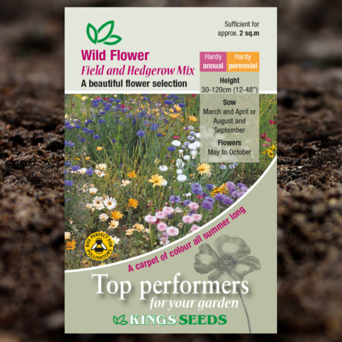 Wild Flower Seeds - Field And Hedgerow Mix