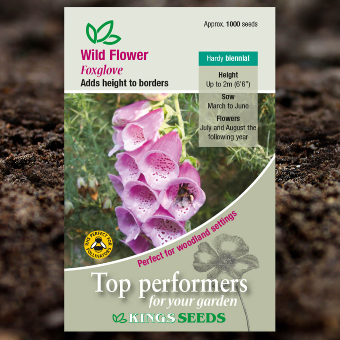 Wild Flower Seeds - Foxglove