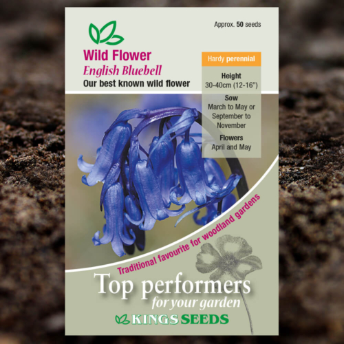 Wild Fower Seeds - English Bluebell
