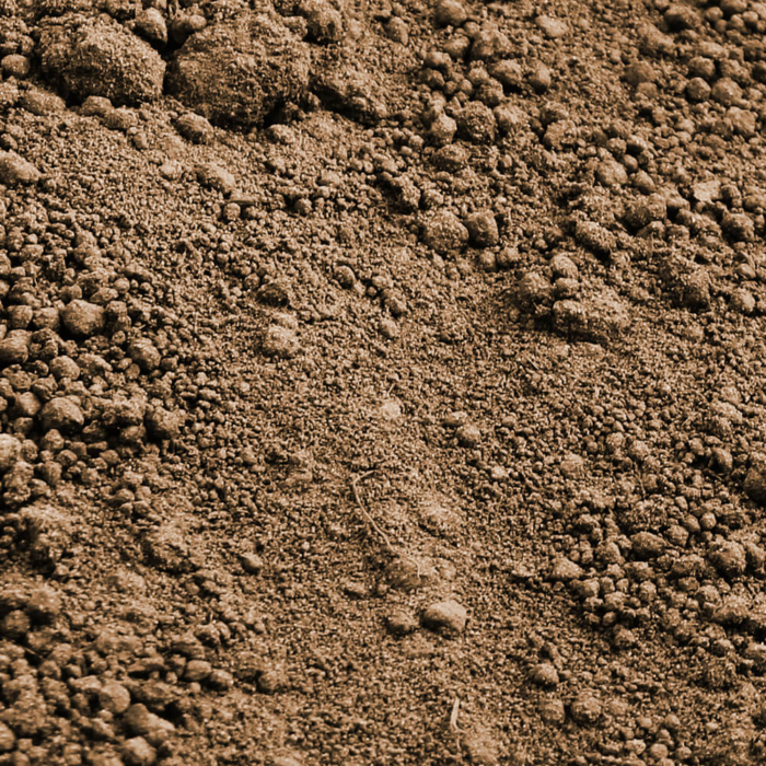 Quality Topsoil Close-Up