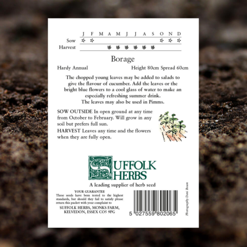 Herb Seeds - Borage - Borago Officinalis - Pack Reverse