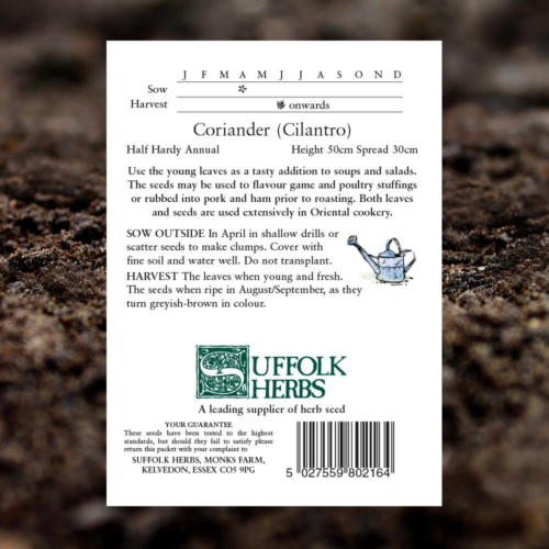 Herb Seeds - Coriander - Coriandrum Sativum - Pack Reverse
