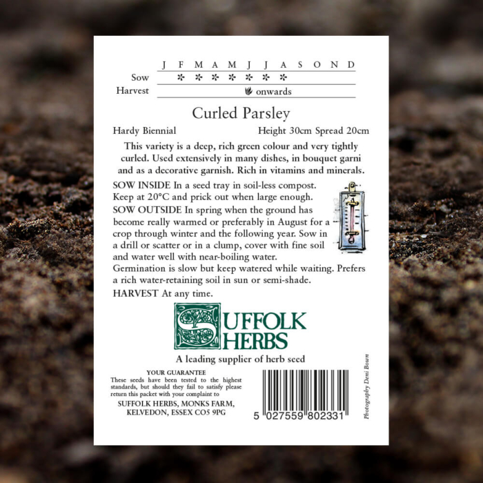 Herb Seeds - Curled Parsley - Petroselinum Crispum - Pack Reverse