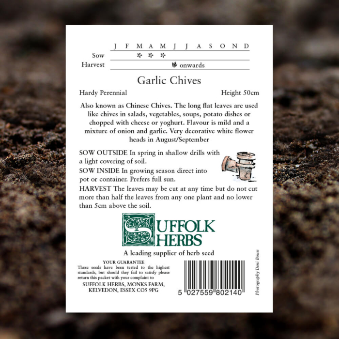 Herb Seeds - Garlic Chives - Allium Tuberosum - Pack Reverse