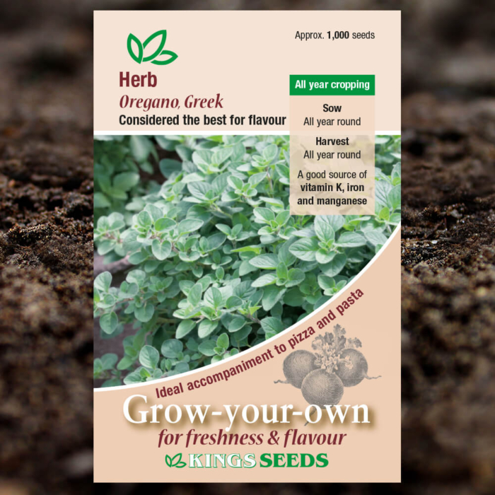 Herb Seeds - Greek Oregano - Oregenum Vulgare