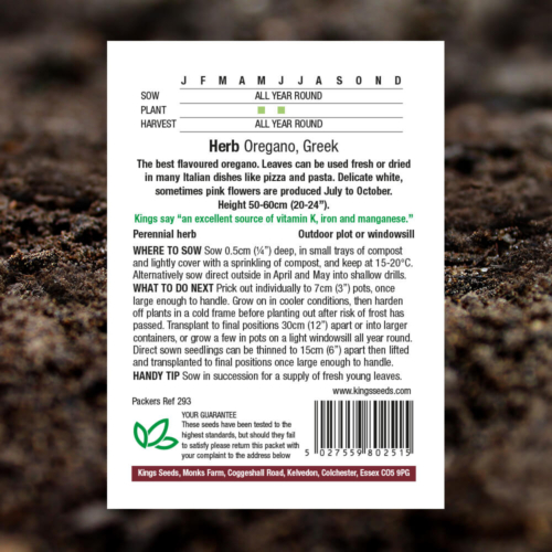 Herb Seeds - Greek Oregano - Oregenum Vulgare - Pack Reverse