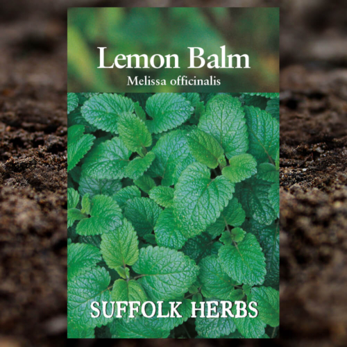 Herb Seeds - Lemon Balm - Melissa Officinalis