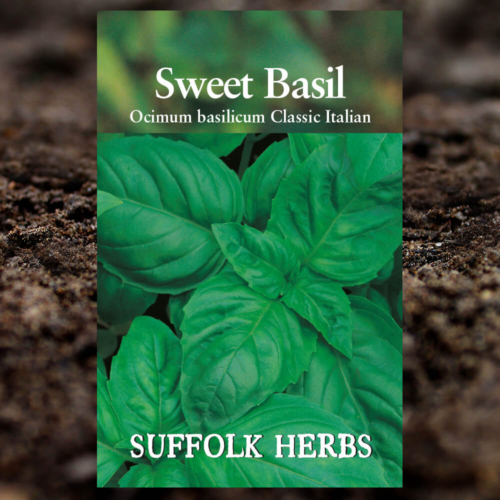 Herb Seeds - Sweet Basil - Ocimum Basilicum - Classic Italian