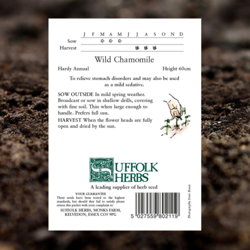 Herb Seeds - Wild Chamomile - Matricaria Recutita - Pack Reverse