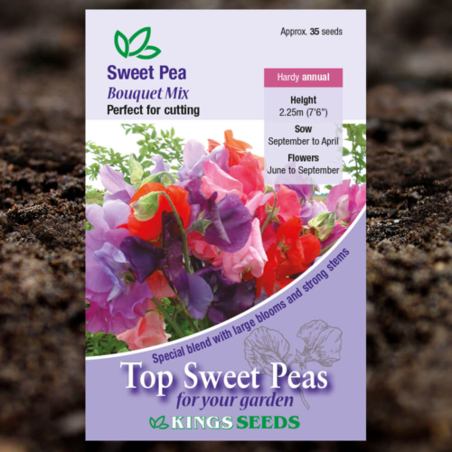 Ornamental Flower Seeds - Sweet Pea - Bouquet Mix