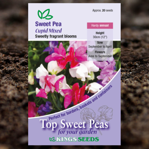 Ornamental Flower Seeds - Sweet Pea - Cupid Mixed