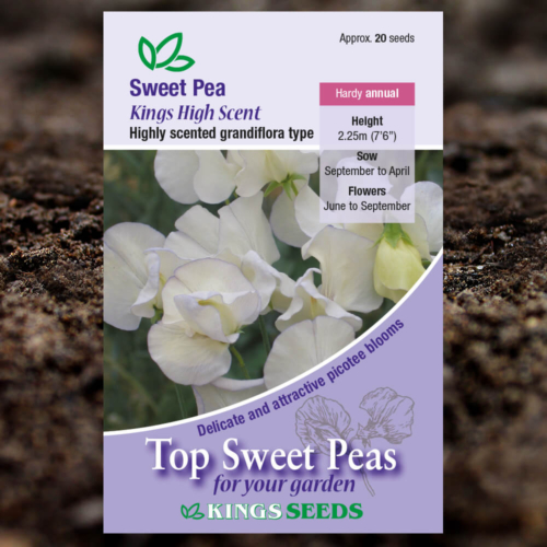 Ornamental Flower Seeds - Sweet Pea - Kings High Scent