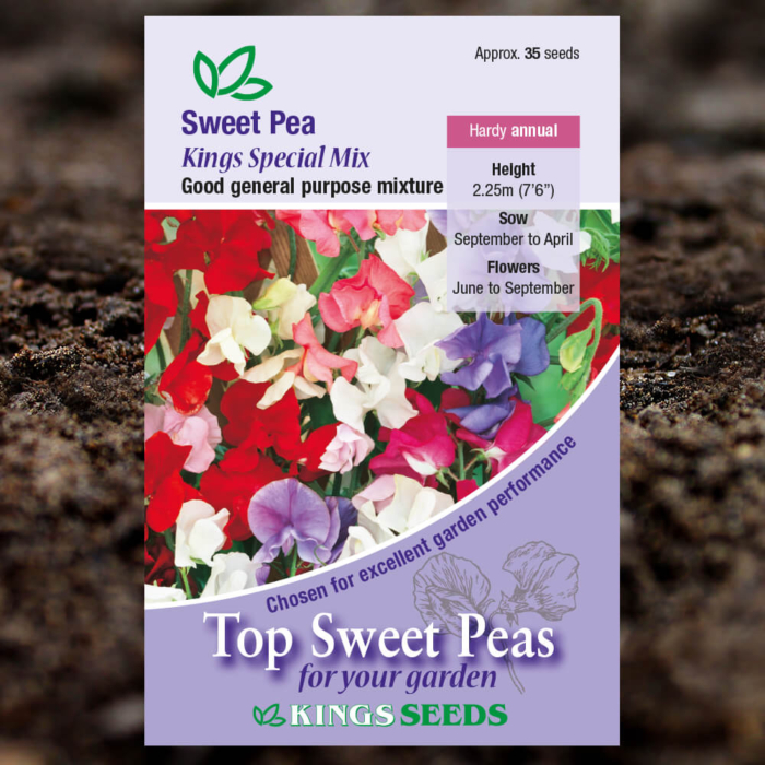 Ornamental Flower Seeds Sweet Pea Kings Special
