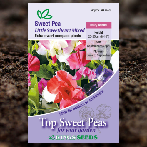 Ornamental Flower Seeds - Sweet Pea - Little Sweetheart Mixed