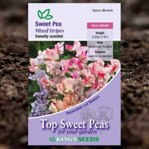 Ornamental Flower Seeds - Sweet Pea - Mixed Stripes