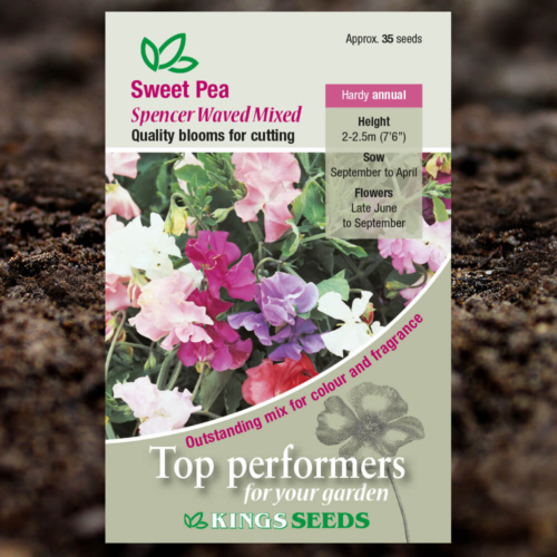 Ornamental Flower Seeds - Sweet Pea - Spencer Waved Mixed