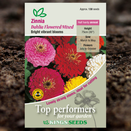 Ornamental Flower Seeds - Zinnia Dahlia Flowered Mixed