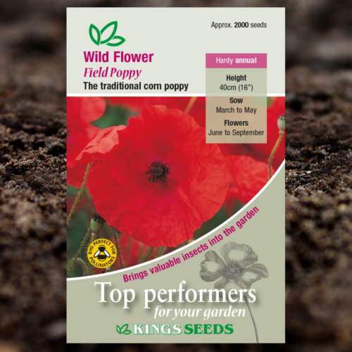 Wild Flower Seeds - Field Poppy