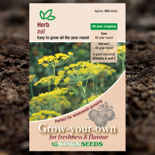 Herb Seeds - Dill - Anethum Graveolens