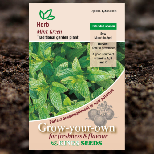 Herb Seeds - Green Mint - Mentha Viridis