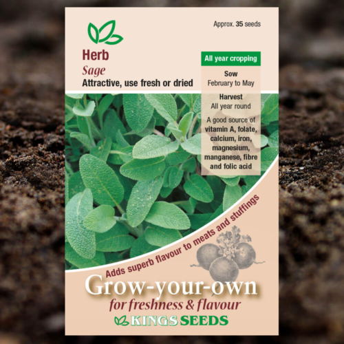 Herb Seeds - Sage - Salvia Officinalis