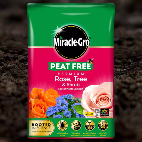 Miracle-Gro Rose Tree And Shrub Compost