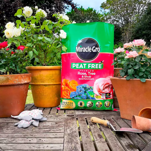Miracle-Gro Rose Tree and Shrub Compost